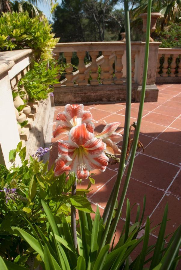 Casa De Las Vistas Palma de Maiorca Exterior foto